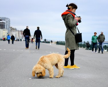 A female student with red scarf, khaki coat and yellow shoes is standing on Hove promenade looking at her camera screen while a beige curly dog is sniffing the ground in front of her and people walking in the background. Photo by Eva Kalpadaki.